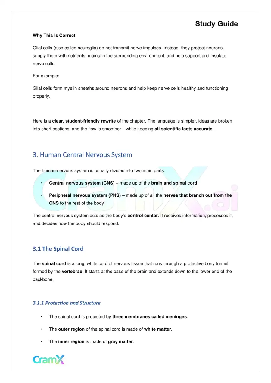 Biology - Nervous Coordination, page 6