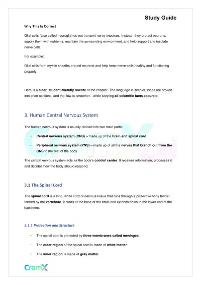 Biology - Nervous Coordination - Page 6 preview image