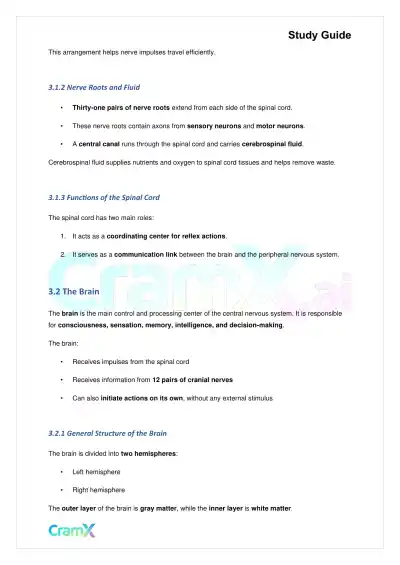 Biology - Nervous Coordination - Page 7 preview image