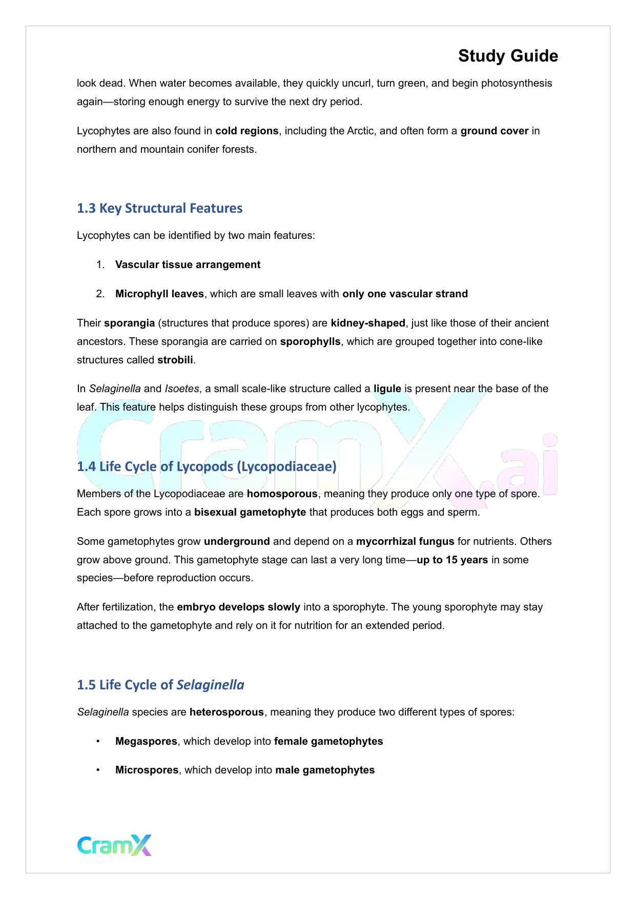 Plant Biology - Seedless Vascular Plants - Page 2 preview image