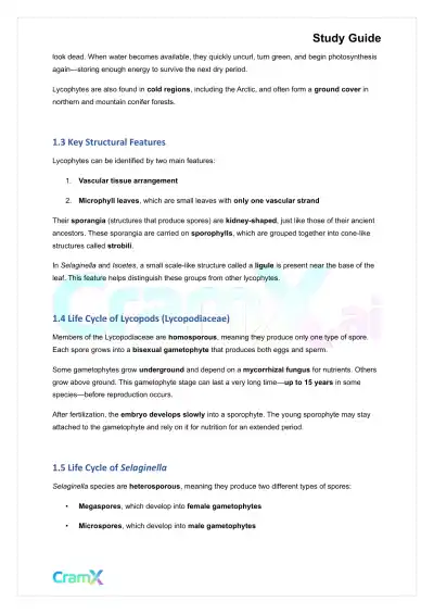 Plant Biology - Seedless Vascular Plants - Page 2 preview image