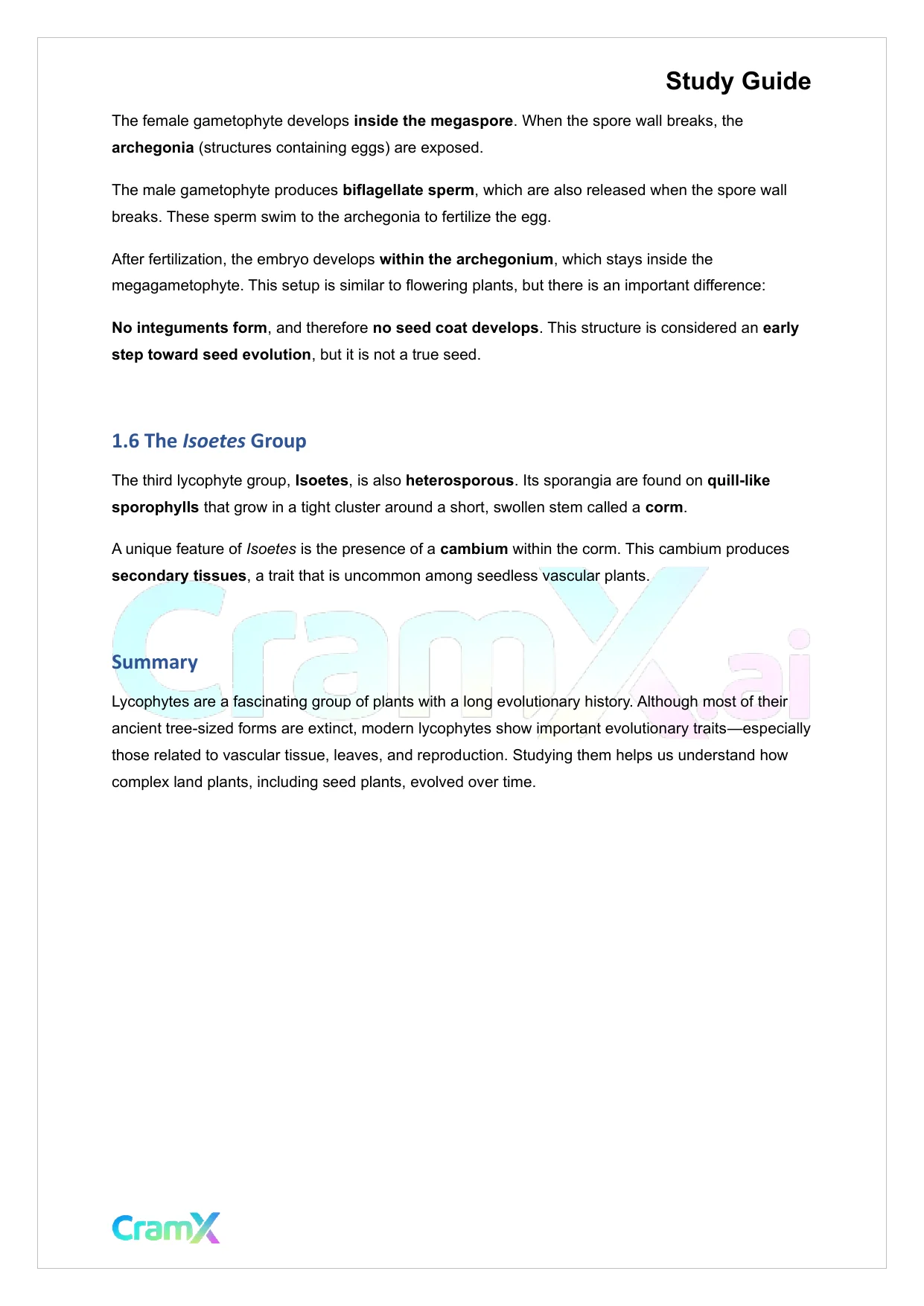 Plant Biology - Seedless Vascular Plants - Page 3 preview image