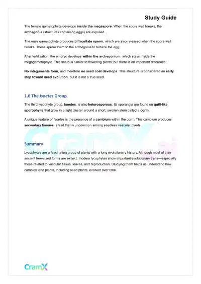 Plant Biology - Seedless Vascular Plants - Page 3 preview image