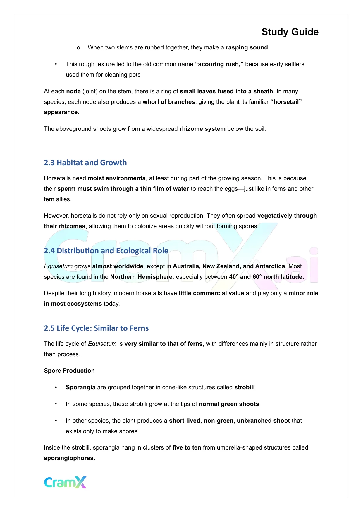 Plant Biology - Seedless Vascular Plants - Page 5 preview image