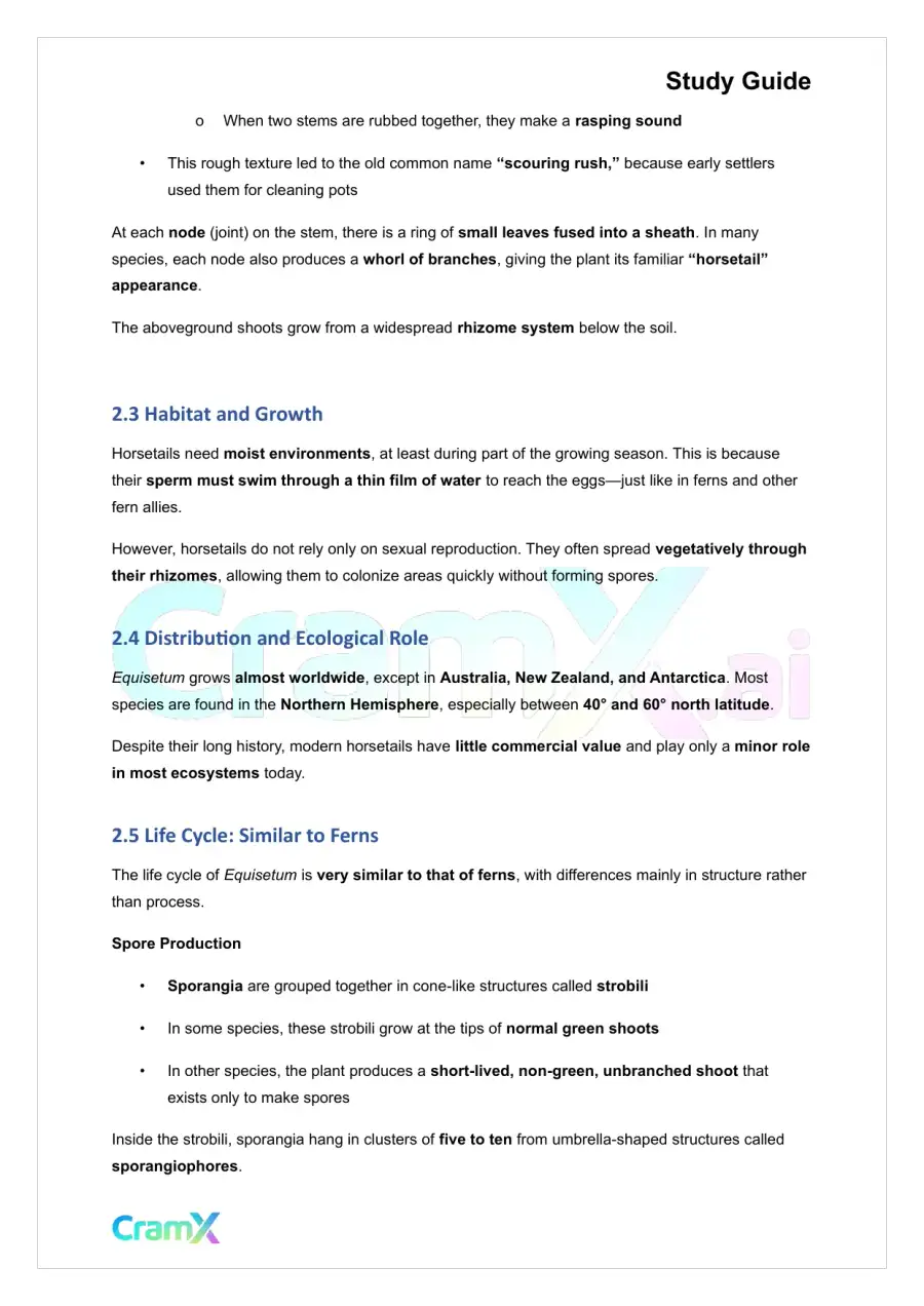 Plant Biology - Seedless Vascular Plants, page 5