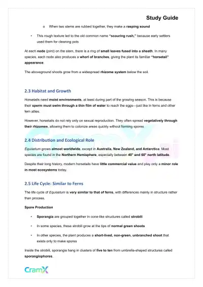 Plant Biology - Seedless Vascular Plants - Page 5 preview image