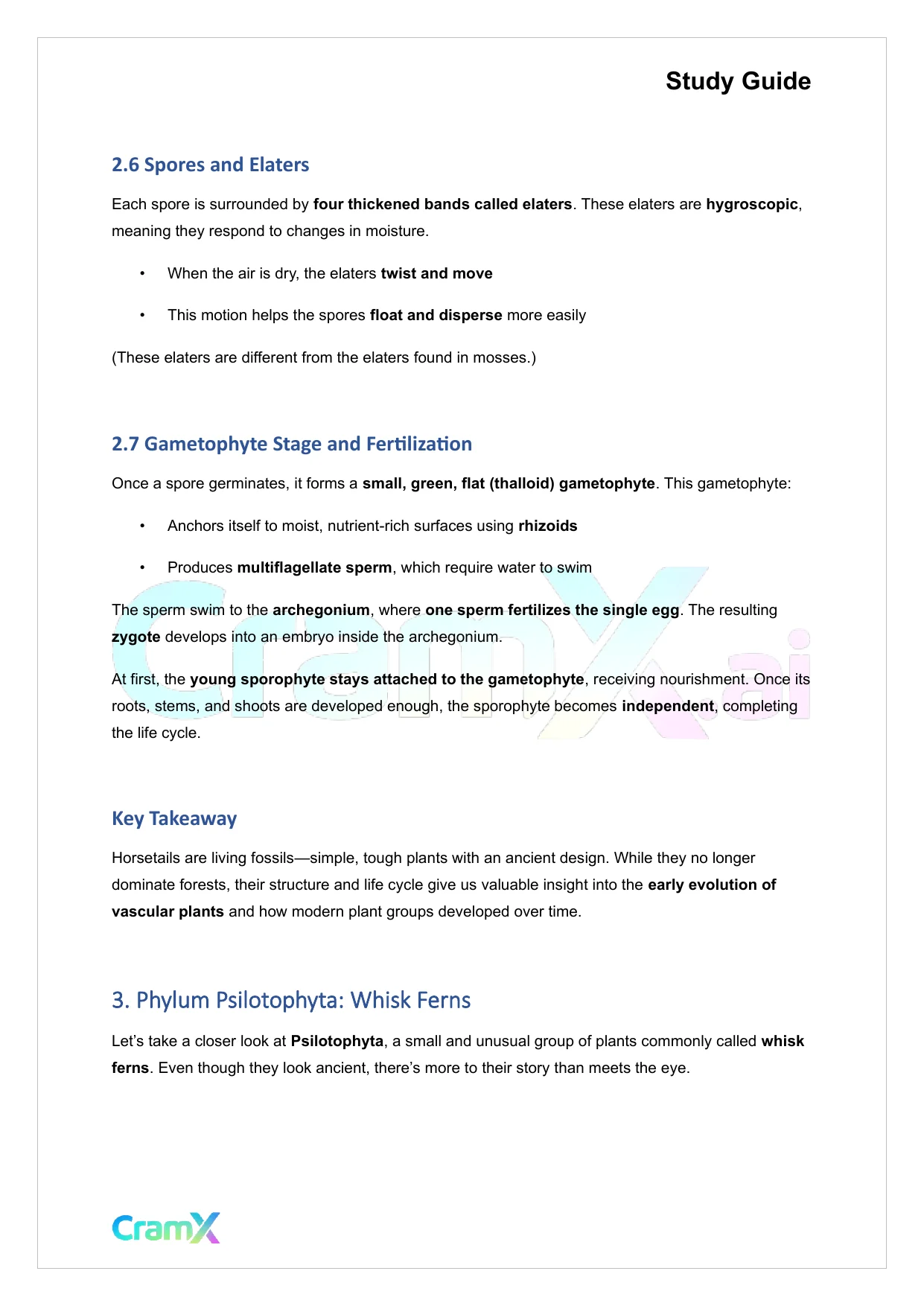 Plant Biology - Seedless Vascular Plants - Page 6 preview image