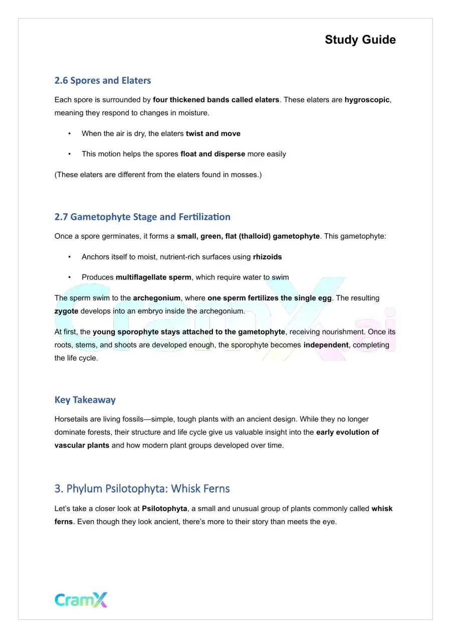 Plant Biology - Seedless Vascular Plants, page 6