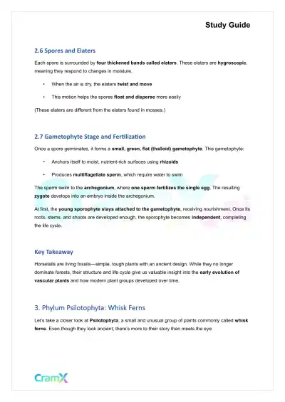 Plant Biology - Seedless Vascular Plants - Page 6 preview image