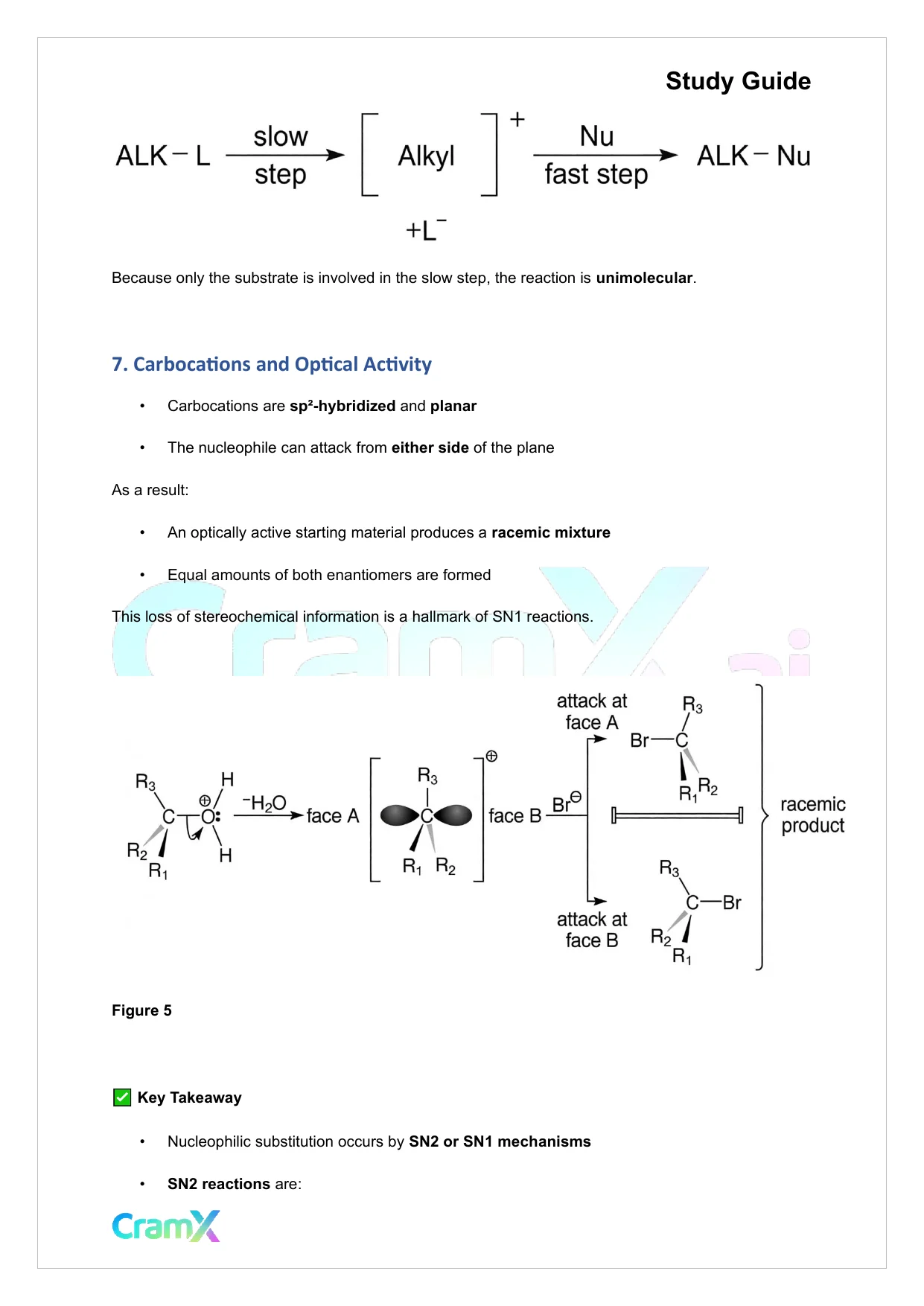 Organic Chemistry II - Alkyl Halides - Page 10 preview image
