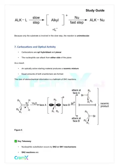 Organic Chemistry II - Alkyl Halides - Page 10 preview image