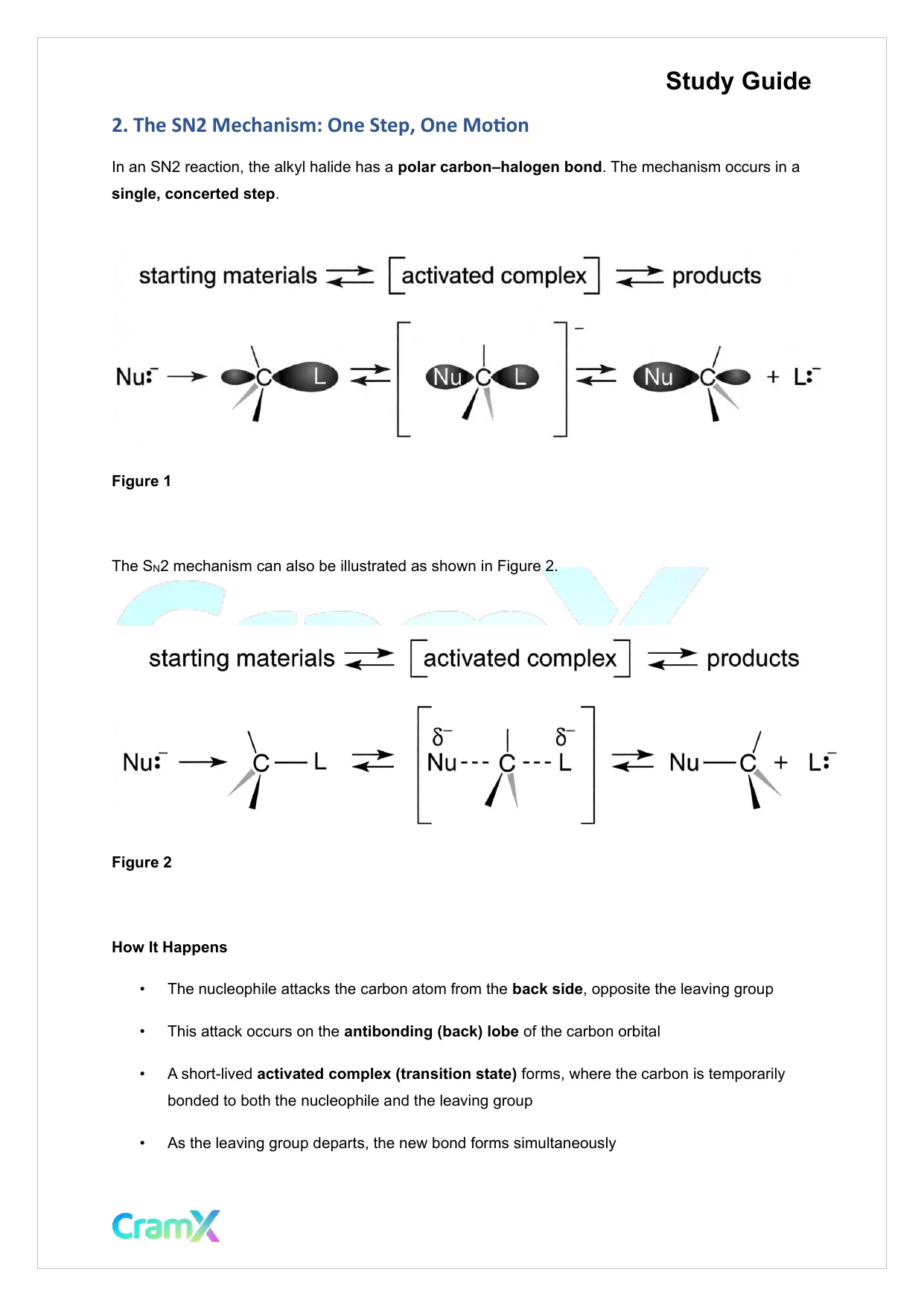 Organic Chemistry II - Alkyl Halides - Page 6 preview image