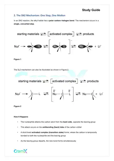 Organic Chemistry II - Alkyl Halides - Page 6 preview image