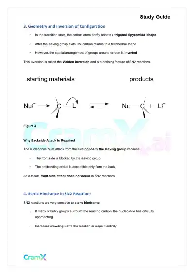 Organic Chemistry II - Alkyl Halides - Page 7 preview image