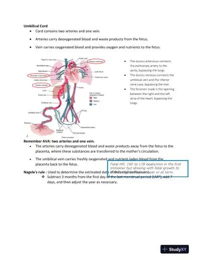 ATI Maternity Proctored Exam Version 5 With Answers (181 Solved Questions) - Page 5 preview image