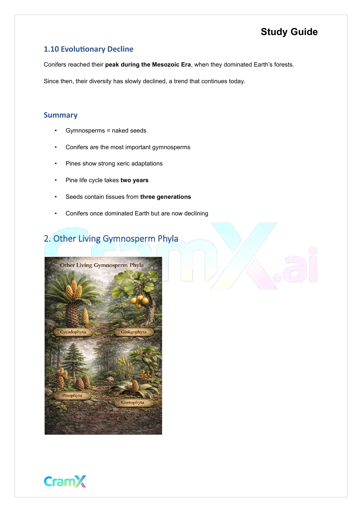 Plant Biology - Seed Plants - Page 6 preview image