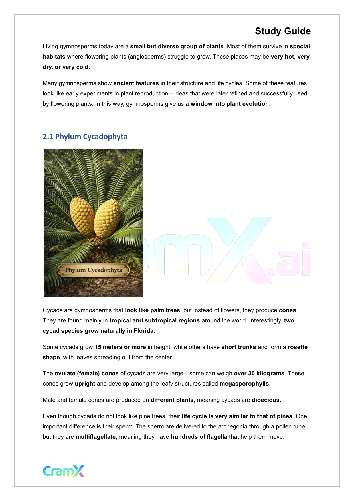 Plant Biology - Seed Plants - Page 7 preview image