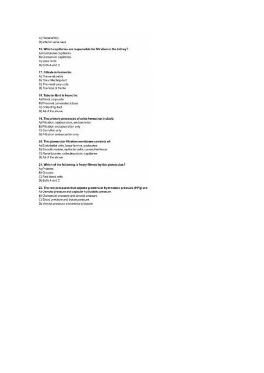 Practice Test Anatomy and Physiology – The Urinary, page 3