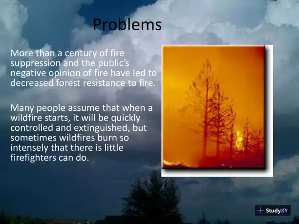Hayman Fire Case Study - Page 1 preview image