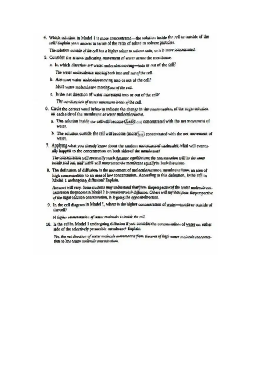 11 Transport in Cells-S (KEY), page 2