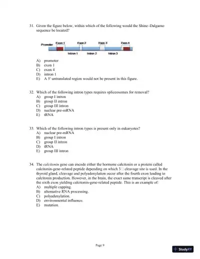 Test Bank For Genetics: A Conceptual Approach, 6th Edition - Page 10 preview image