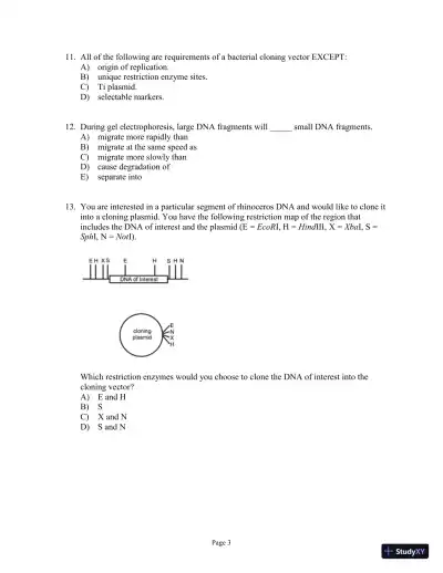Test Bank For Genetics: A Conceptual Approach, 6th Edition - Page 23 preview image