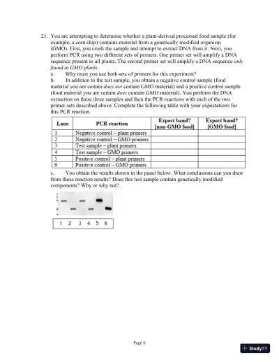 Test Bank For Genetics: A Conceptual Approach, 6th Edition - Page 26 preview image