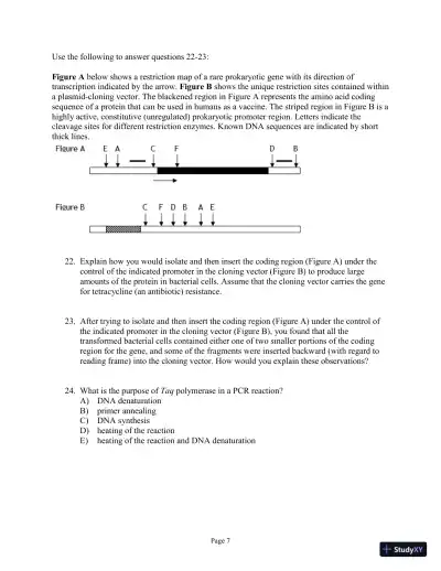Test Bank For Genetics: A Conceptual Approach, 6th Edition - Page 27 preview image