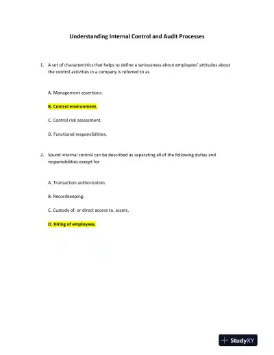 Understanding Internal Control and Audit Processes - Page 1 preview image