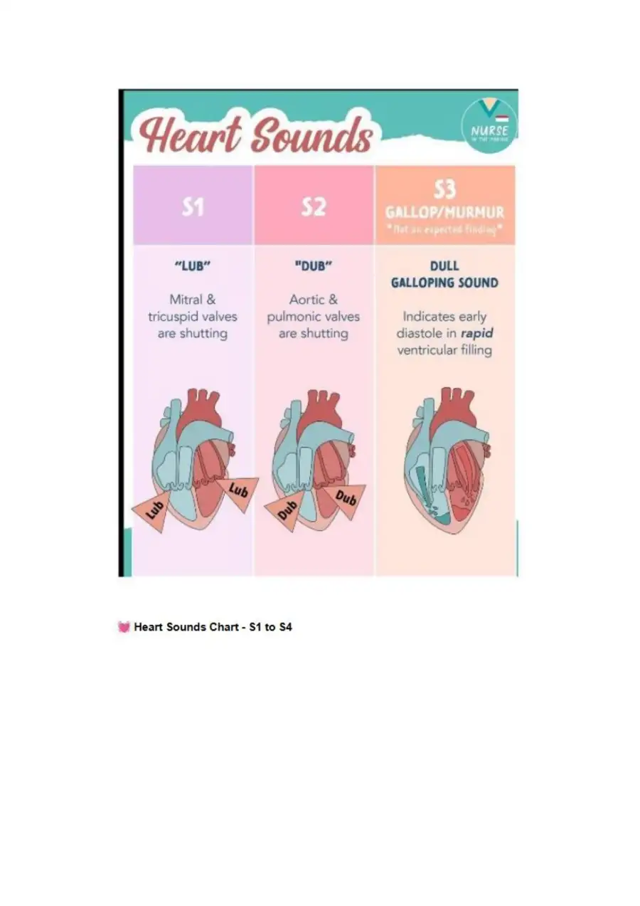 NCLEX Style Cardiac Cycle and Heart Function Study, page 4