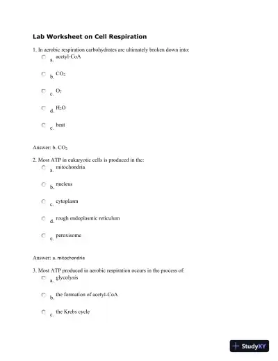 Lab Worksheet On Cell Respiration - Page 1 preview image