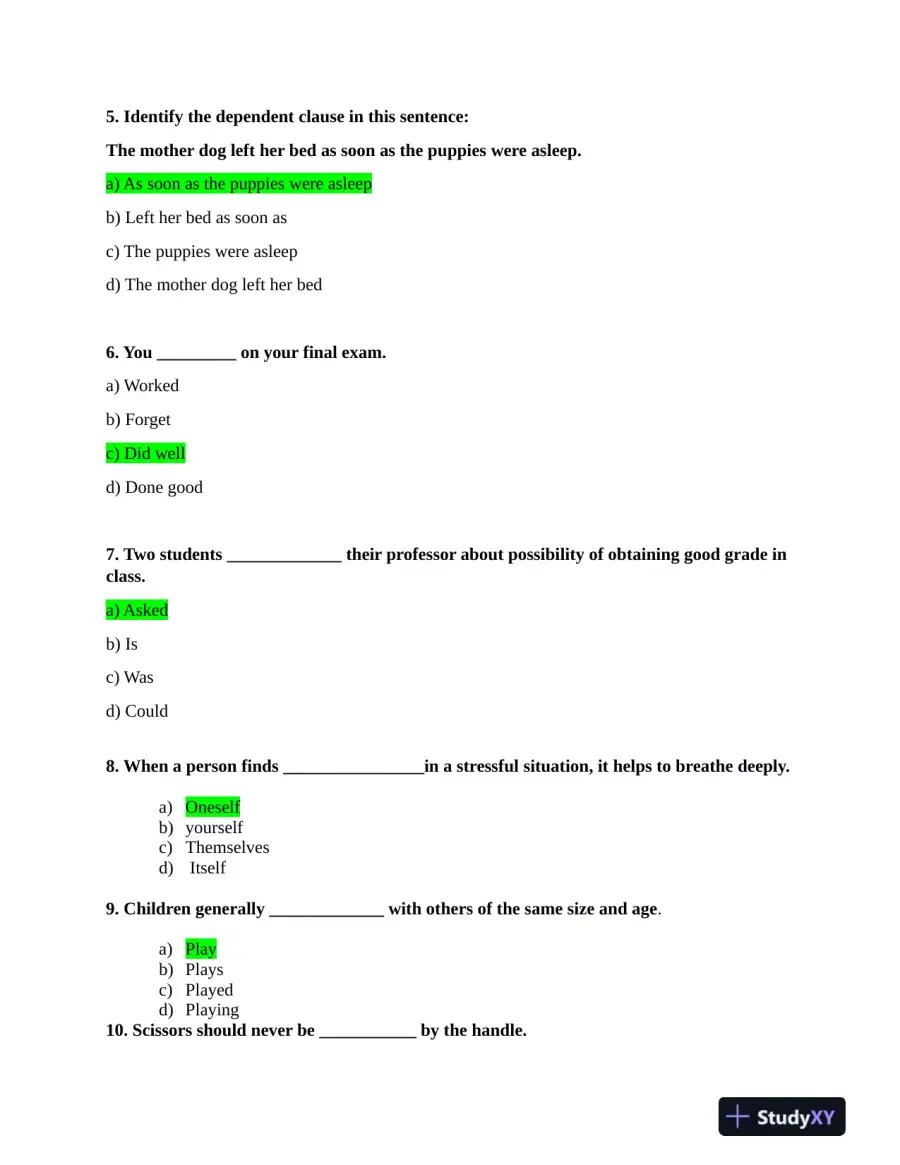 2023 HESI Grammer A2 Exam With Answers (41 Solved Questions), page 3