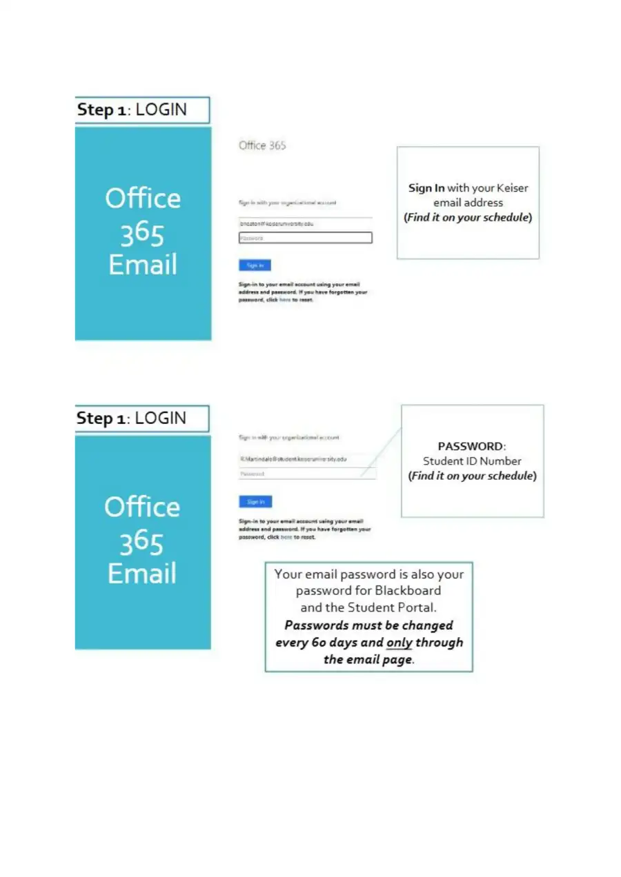 Navigating Blackboard-How to Access and Use the On, page 3