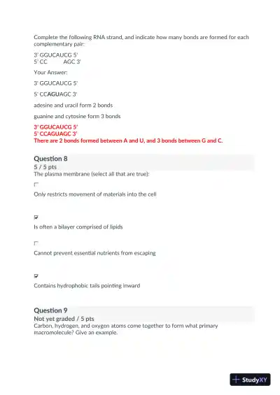 BIOD171 M1: Module 1 Biology Practice Exam with Answers (21 Solved Questions) - Page 4 preview image