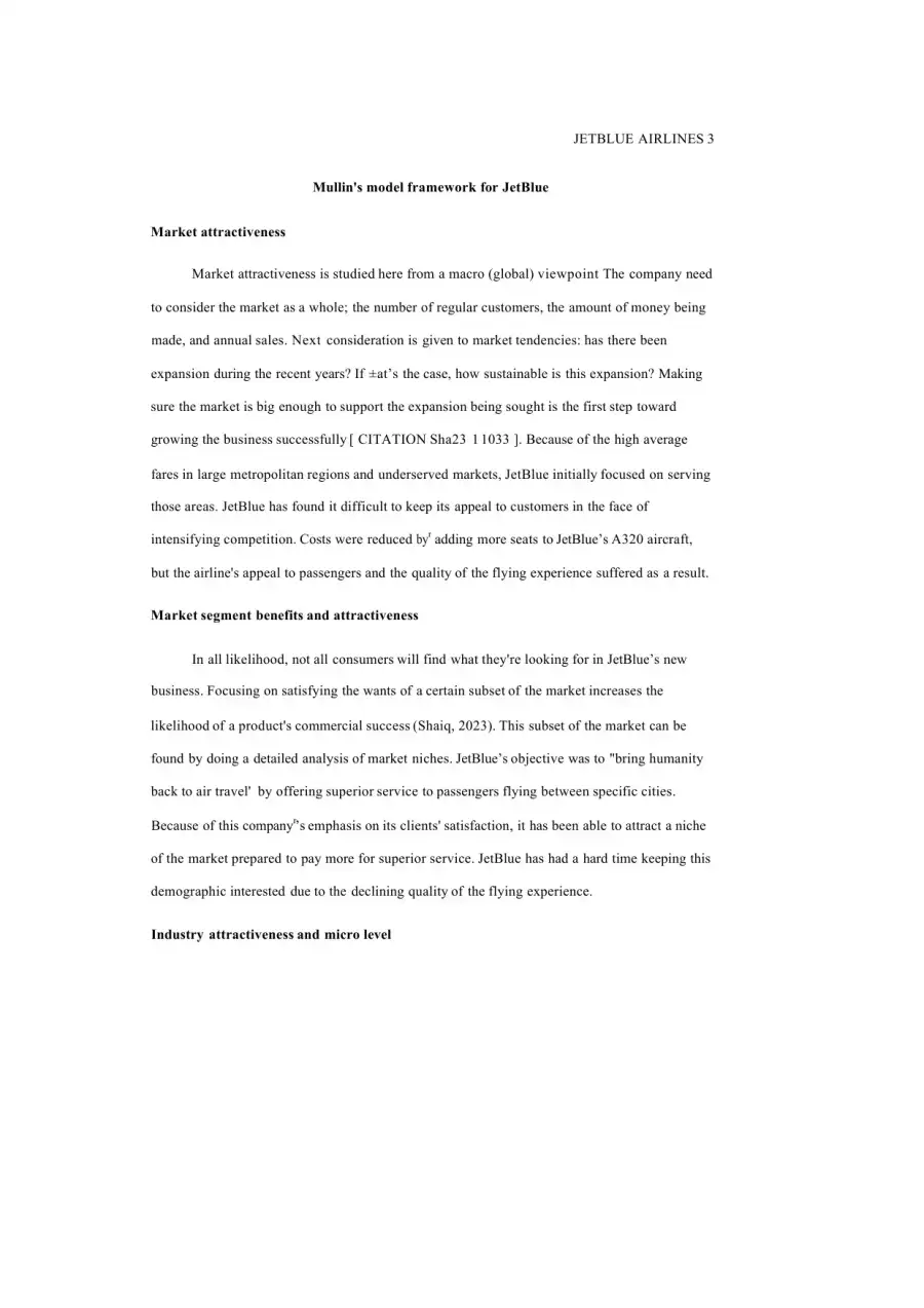JetBlue Airlines Case Analysis, page 3