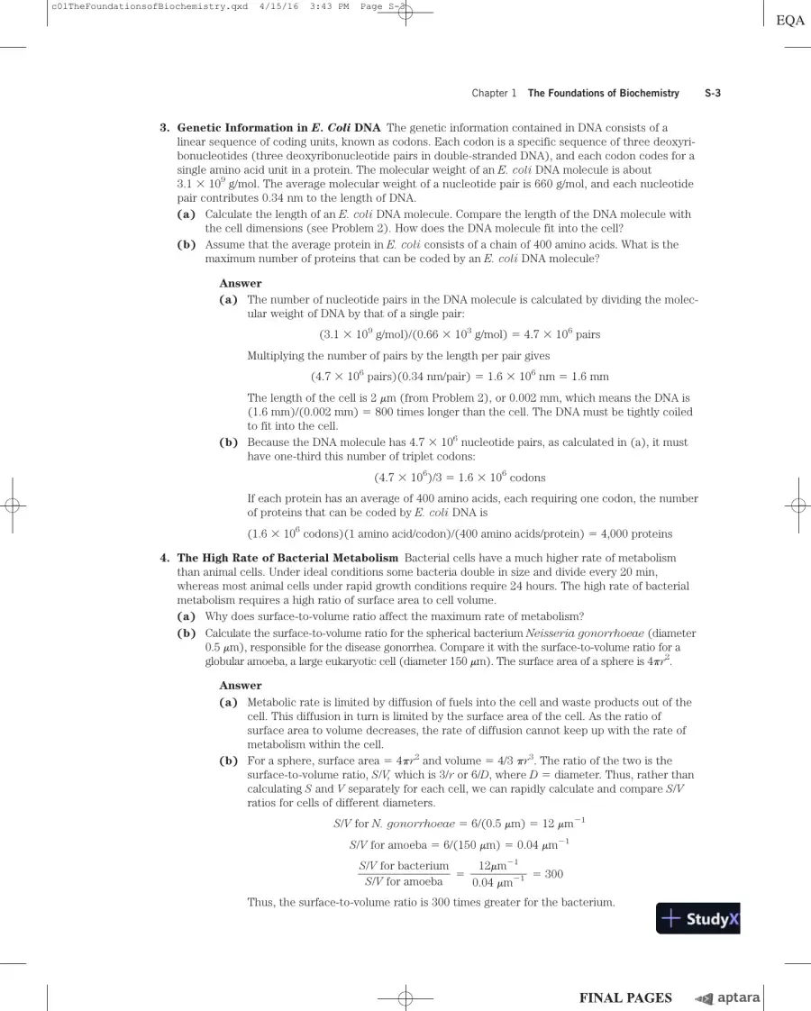 Lehninger Principles of Biochemistry Seventh Edition Solution Manual, page 10