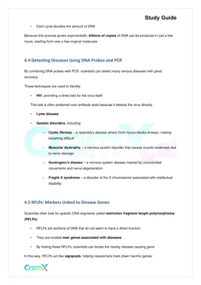 Biology - Recombinant DNA and Biotechnology - Page 7 preview image
