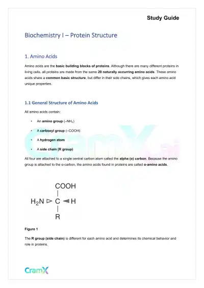 Biochemistry I - Protein Structure - Page 1 preview image