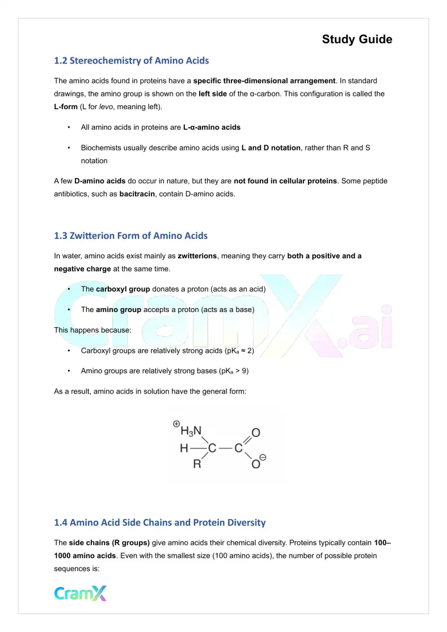 Biochemistry I - Protein Structure, page 2