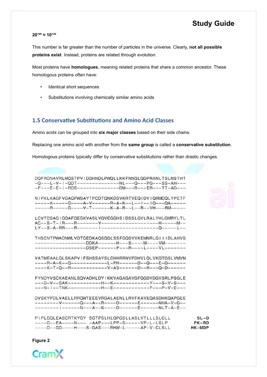 Biochemistry I - Protein Structure, page 3