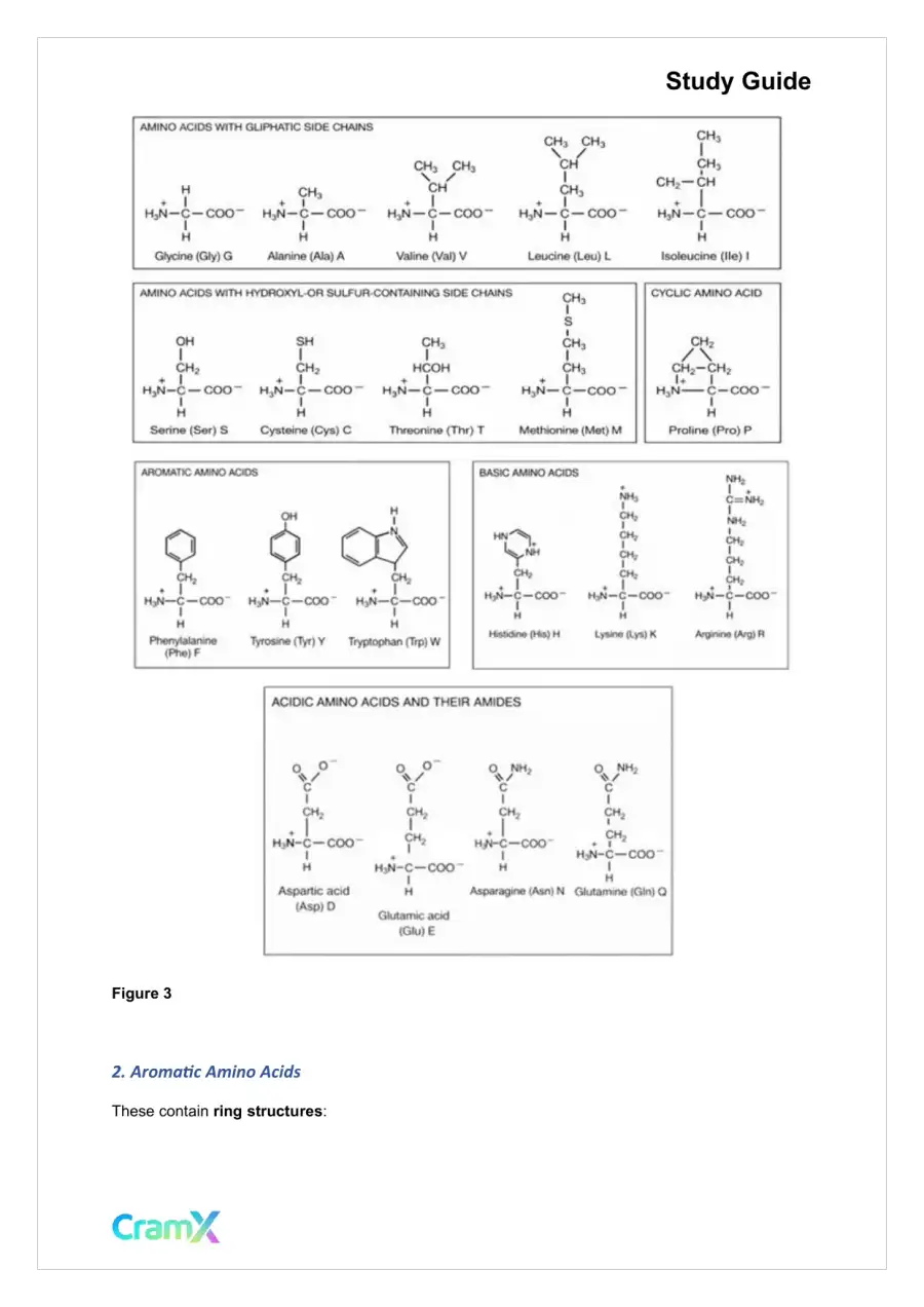 Biochemistry I - Protein Structure, page 5