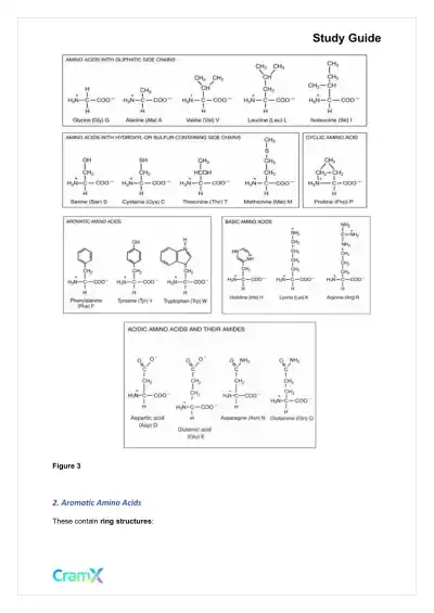 Biochemistry I - Protein Structure - Page 5 preview image