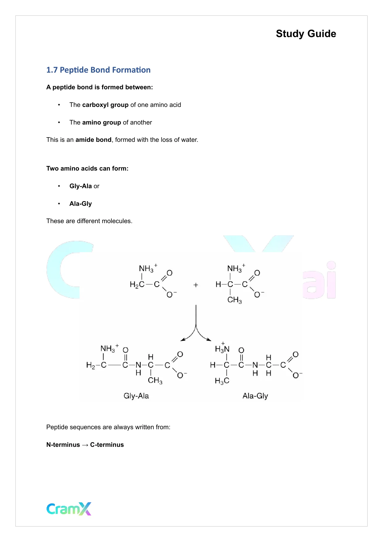 Biochemistry I - Protein Structure - Page 8 preview image