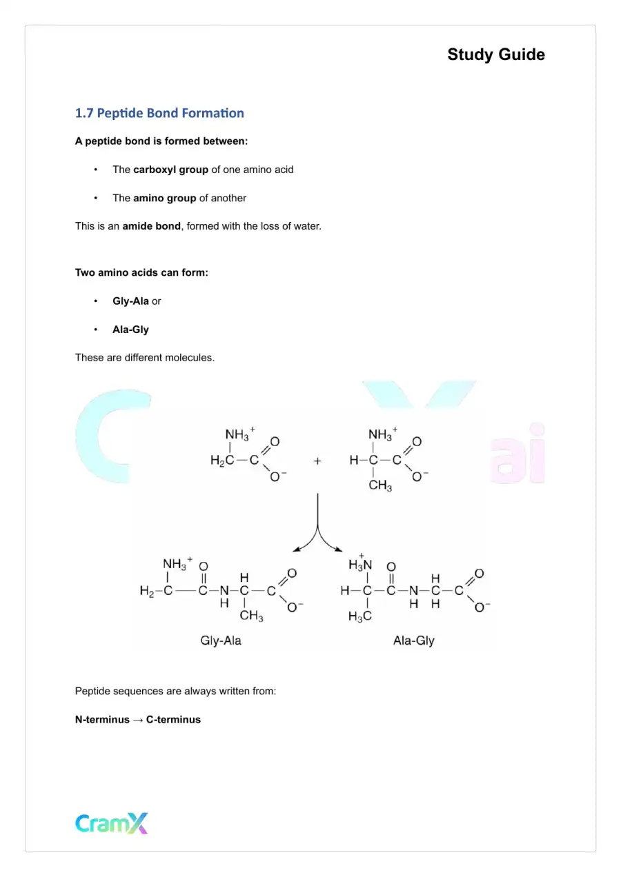 Biochemistry I - Protein Structure, page 8