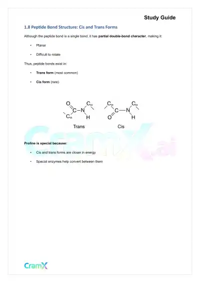 Biochemistry I - Protein Structure - Page 9 preview image