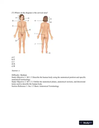 Test Bank For Principles Of Anatomy And Physiology, 13th Edition - Page 13 preview image