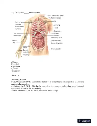 Test Bank For Principles Of Anatomy And Physiology, 13th Edition - Page 14 preview image