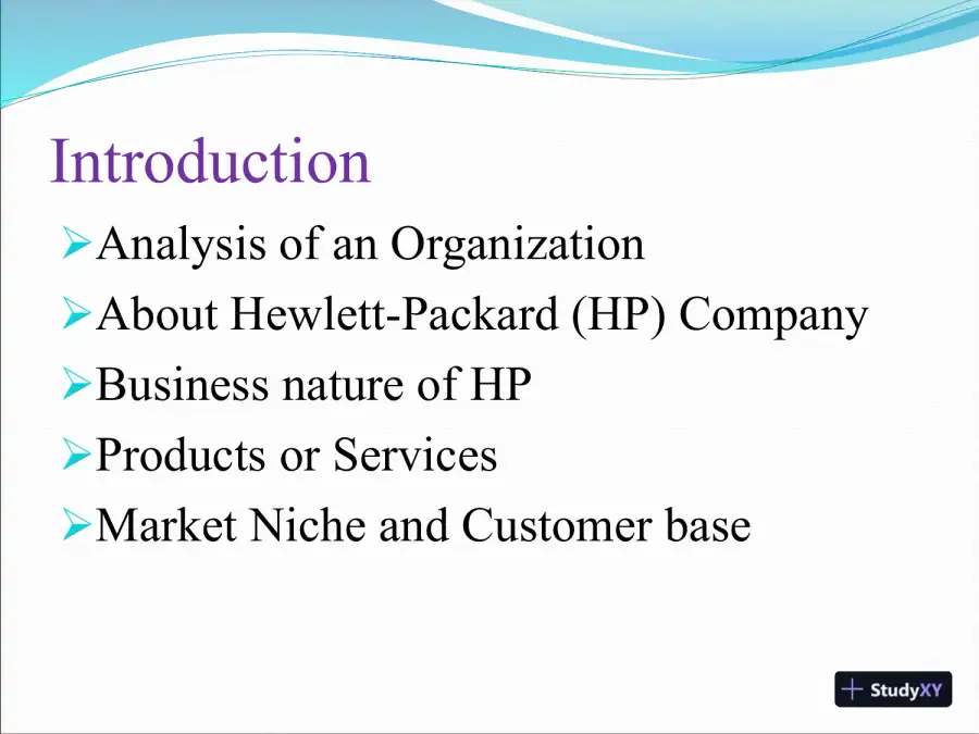 An Analysis Of An Organization (Hewlett-Packard), page 3