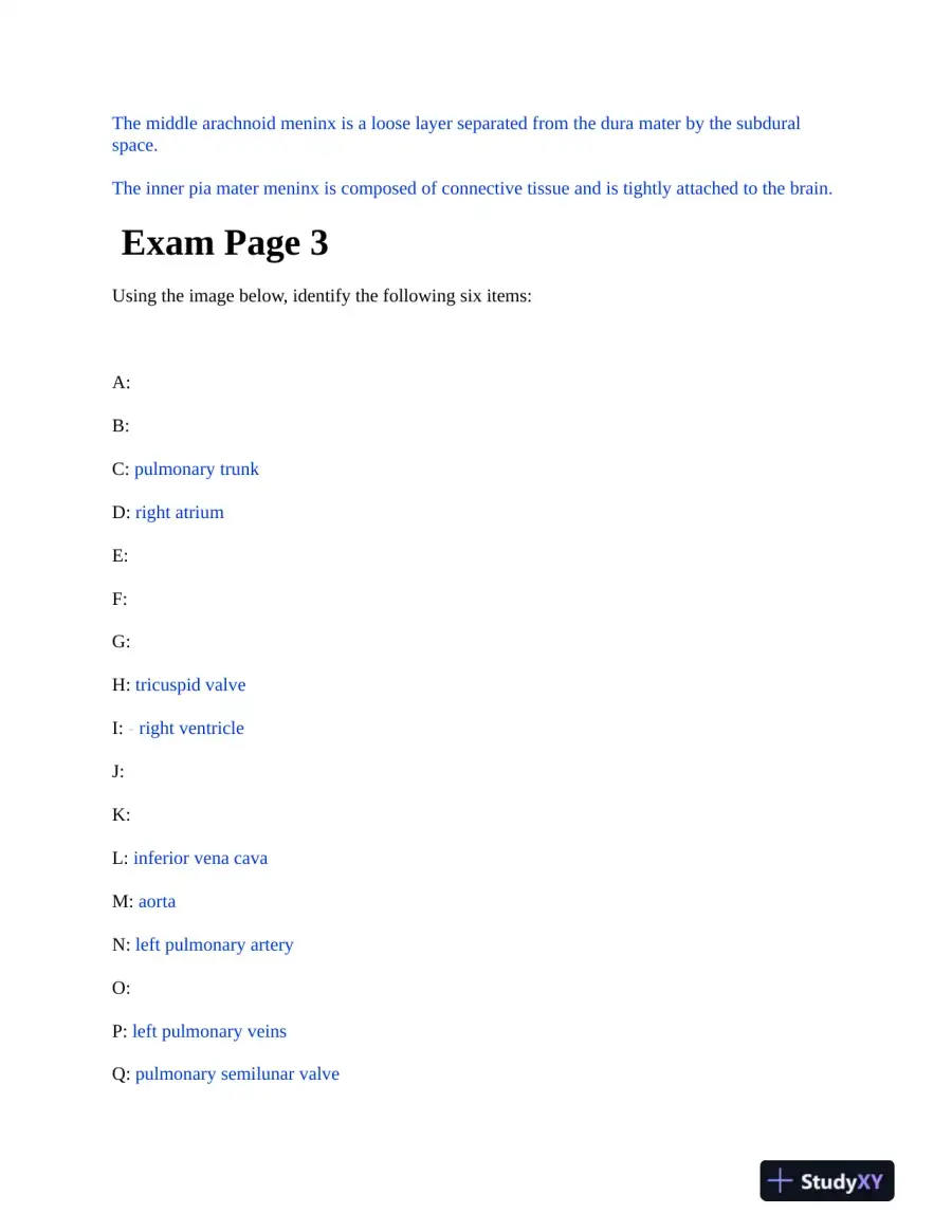 BIOD152 Anatomy and Physiology Practice Final Exam With Answers (12 Solved Questions), page 3