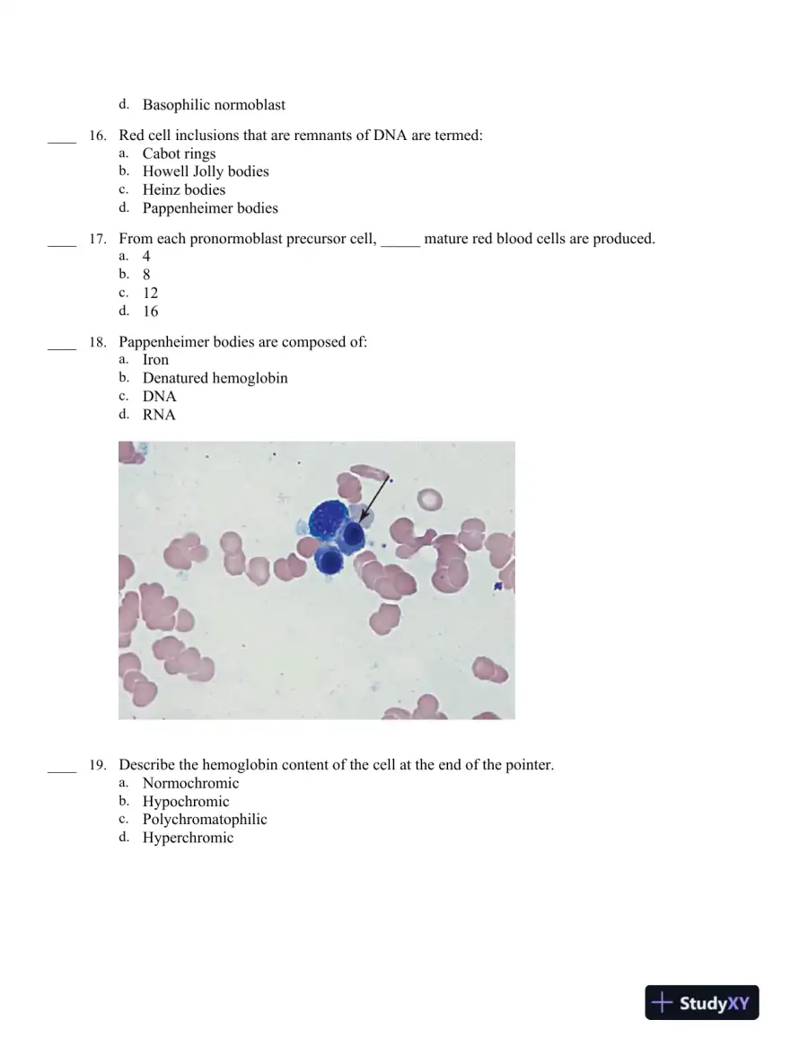 Hematology in Practice 2nd Edition Test Bank, page 13